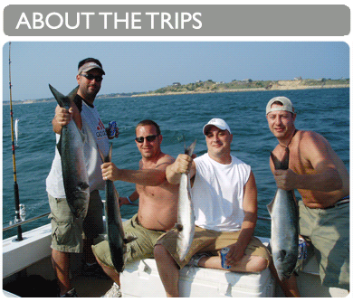 trips