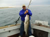 Fish 14