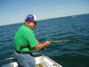 Fish 11