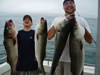 Fish 8